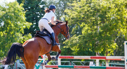 Young horse rider girl jumping over a barrier on show jumping course in equestrian sports...