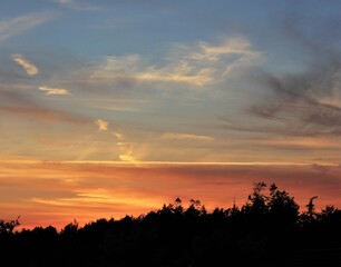 Sunset over the forest
