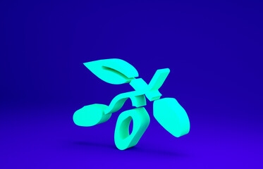 Green Date fruit icon isolated on blue background. Minimalism concept. 3d illustration 3D render