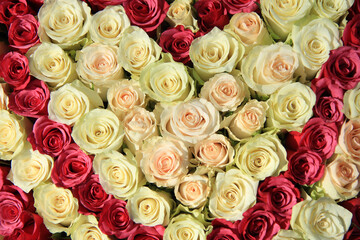 Obraz na płótnie Canvas Pink roses in different shades in wedding arrangementr