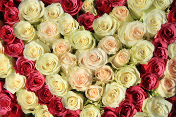 Pink roses in different shades in wedding arrangementr