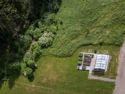 A greenhouse, several pallet collars with crops photographed from above, aerial, bird's eye view. Drone shot taken in Sweden in summertime. Place for text and copy space.