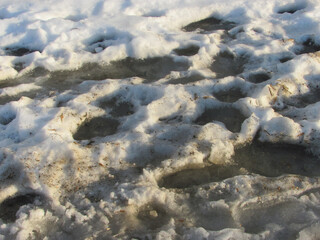 Obraz premium Background: muddy spring melting snow