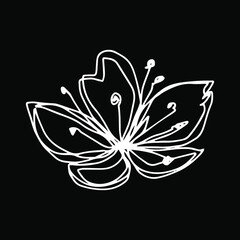 botanical floristic contour flower cherry sakura apple tree open buds. Vector single isolated minimalistic white and black flower