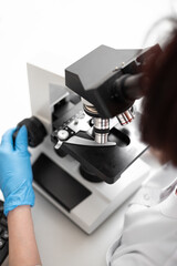 scientists examining liquid samples in the lab.