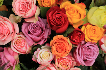 Multicolored wedding roses