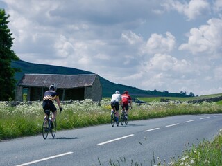 Obraz premium A group of cyclists ride through the Yorkshire Dales near Middleham Gallops in Wensleydale, North Yorkshire.