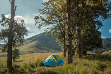A tent nestled amongst nature. A beautiful spot for camping lovers.