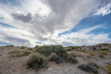 Desert Brush and Dramatic Clouds In Capitol Reef