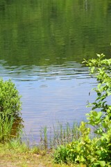 Clearwater lake in southern Quebec 