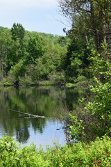 Fototapeta na wymiar Clearwater lake in southern Quebec 