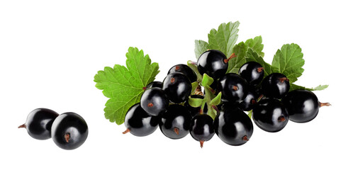 Black currant isolated on a white background