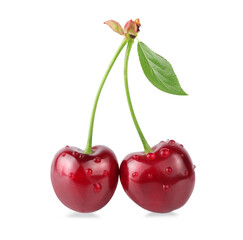 Cherry, isolated on a white background