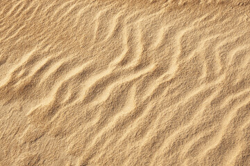 Fototapeta na wymiar Beach dunes fine sand texture, close-up