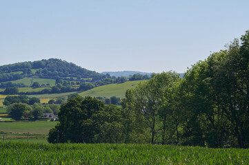 Fototapeta na wymiar Agriculture farm field in english countryside with blue sky with hill in the background