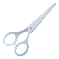 Hair Scissors 

