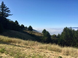 Fototapeta premium Northern California landscape with early morning fog in the valley