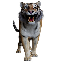 A 3d rendered Siberian Tiger in an angry pose facing the camera, isolated on a white background 