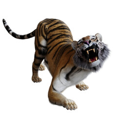 A 3d rendered Siberian Tiger in an angry pose facing the camera, isolated on a white background 