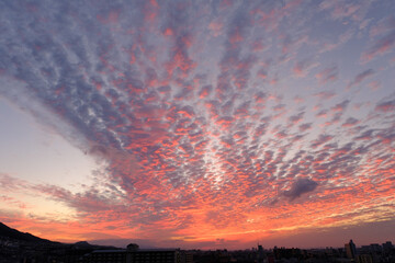 神戸市東灘区の高層マンションからの日の出、東の空がオレンジ色に染まり、神戸・芦屋・西宮の街並みがシルエットで浮かぶ。一日の始まり。