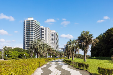 Obraz premium (千葉県ｰ都市風景)海浜大通り沿いの風景１