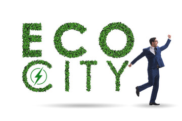 Eco city in ecology concept