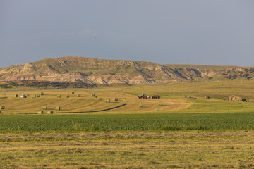 Fototapeta na wymiar landscape with hay bales and mountain