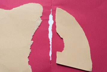 torn paper background