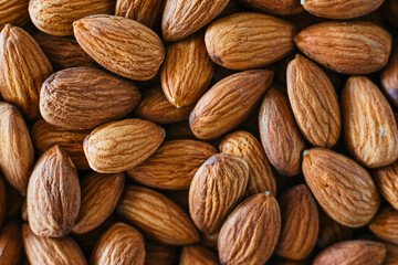 Prunus dulcis nut, almond, rich in phosphorus, vitamin E and proteins.
