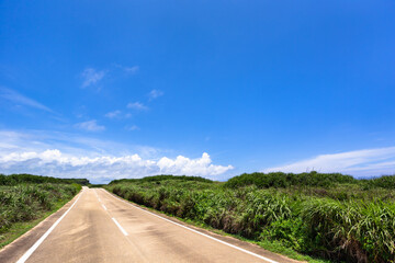 沖縄県宮古島、東平安名崎の道・日本