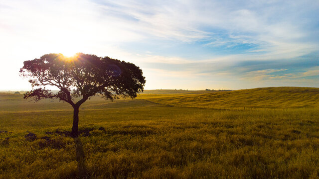 Alentejo Portugal