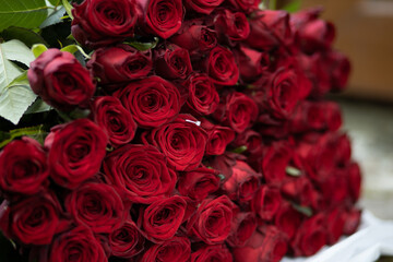 Engagement ring in red roses , gold ring with diamond