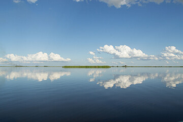 Fototapeta premium Horizonte en el agua en Esteros del Ibera