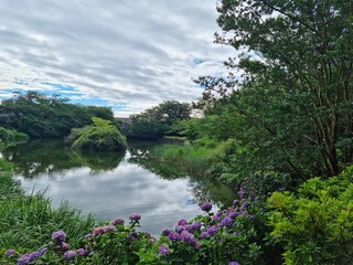 landscape with lake and trees