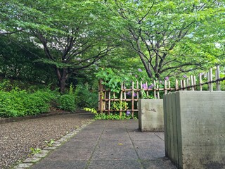 walkway in the park