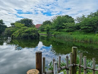 wooden bridge over lake