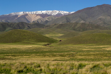 praderas en Mendoza