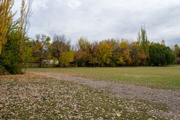 paisaje de otoño