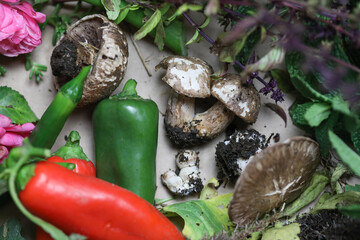 Collection of homegrown vegetables and flowers after harvest from home garden