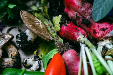 Collection of homegrown vegetables and flowers after harvest from home garden