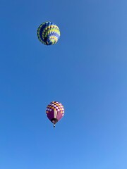 hot air balloons in a clear sky