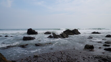 leaf, plant, nature, green, flower, tree, isolated, spring, white, branch, herb, fresh, leaves, sky, closeup, beach, summer, blue, sea, floral, flowers, clover, grass, water, food