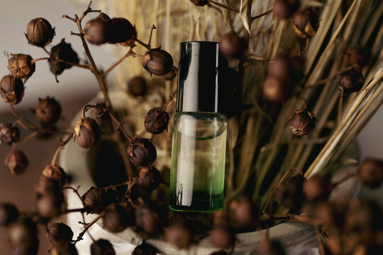 Ombre green essential oil roll on bottle on display in bunch of dried flowers and leaves