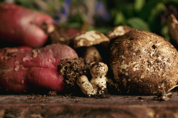Collection of homegrown vegetables and flowers after harvest from home garden