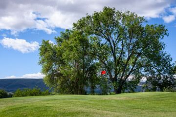Sunny golf, fairway up to a green with a red flag, leafy trees and sky in the background
