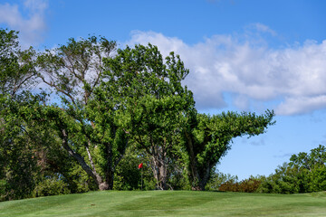 Sunny golf, fairway up to a green with a red flag, leafy trees and sky in the background
