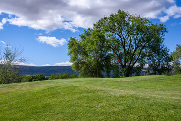 Sunny golf, fairway up to a green with a red flag, leafy trees and sky in the background
