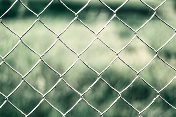 Fototapeta premium Wire fence with blurred background. Close-up.