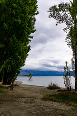 That Wanaka Tree, the most photographed tree in the world