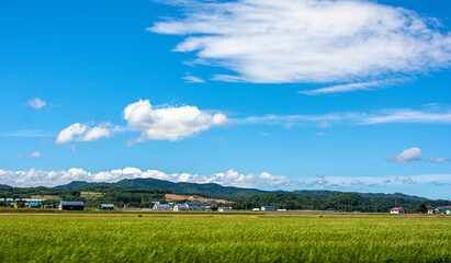 故郷の田園風景と雲が浮かぶ青空